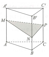 Cho hình lăng trụ ABCD.A'B'C'D'. Gọi M, N, P lần lượt là các điểm thuộc các cạnh AA', BB', CC' sao cho AM = 2MA', NB' = 2NB, PC = PC' (ảnh 1)