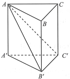 Cho khối lăng trụ ABC.A’B’C’ có thể tích bằng V. Tính thể tích khối đa diện ABCB’C’ (ảnh 1)