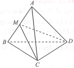 Cho tứ diện ABCD có hai mặt ABC và ABD là các tam giác đều. Tính góc giữa hai đường thẳng AB và CD (ảnh 1)