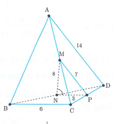 fefe (ảnh 1)