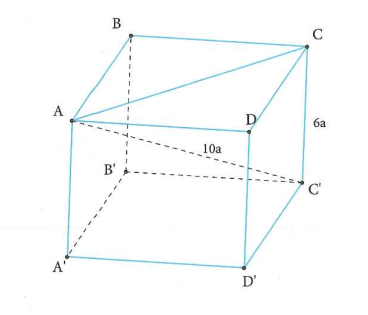 Cho lăng trụ tứ gi&aacute;c đều ABCD.A'B'C'D' c&oacute; chiều cao bằng 6a (ảnh 1)