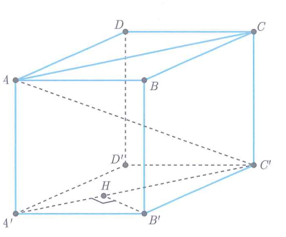 vdfdg (ảnh 1)