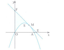 dgdgg (ảnh 1)