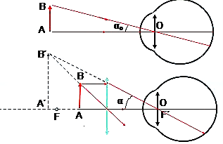 Lý thuyết Kính lúp | Vật lí lớp 11 (ảnh 1)