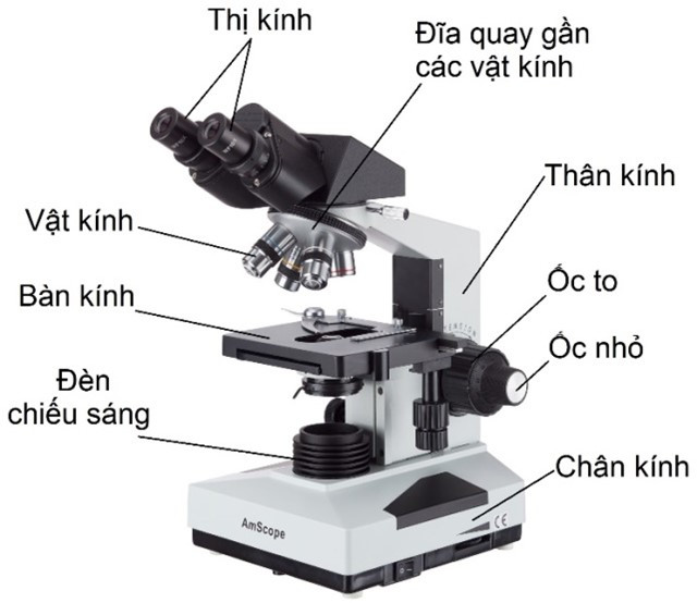 công thức kính hiển vi