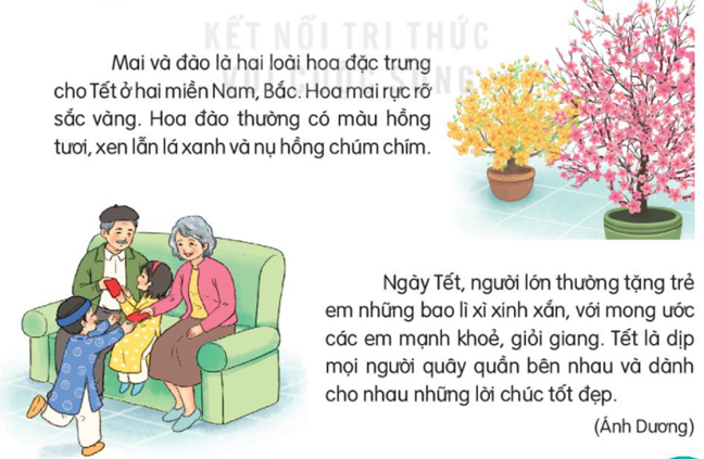 Giải Tiếng Việt lớp 2 Tập 2 Bài 4: Tết đến rồi – Kết nối tri thức (ảnh 1)