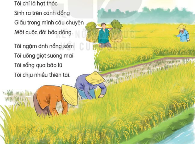 Giải Tiếng Việt lớp 2 Tập 2 Bài 7: Hạt thóc – Kết nối tri thức (ảnh 1)