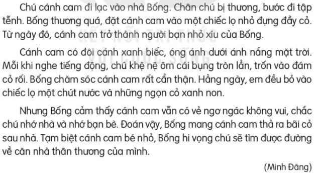 Giải Tiếng Việt lớp 2 Tập 2 Bài 16: Tạm biệt cánh cam – Kết nối tri thức (ảnh 1)