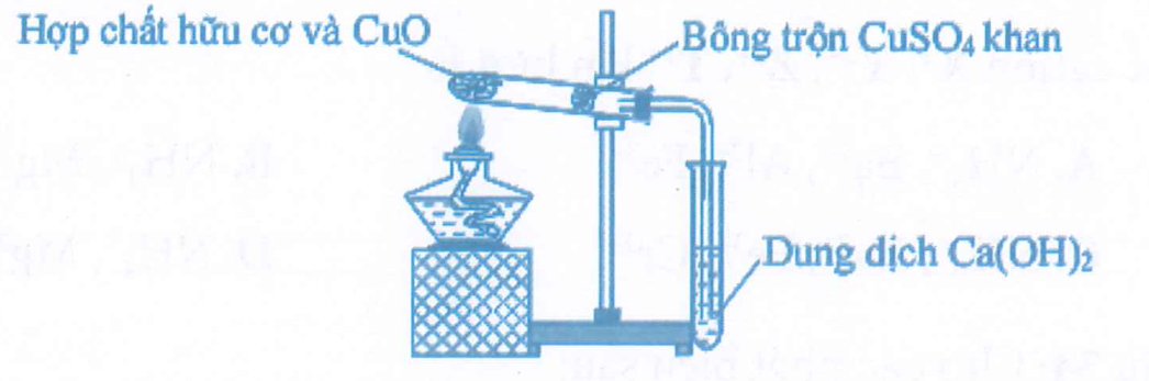 Để phân tích định tính các nguyên tố trong hợp chất hữu cơ, người ta thực hiện một thí nghiệm  (ảnh 1)