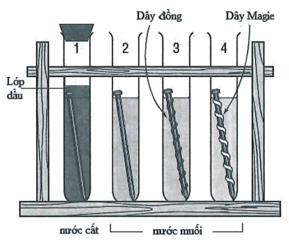Cho 4 thí nghiệm như hình vẽ Có bao nhiêu thí nghiệm đinh (làm bằng (ảnh 1)
