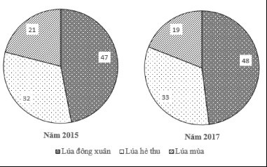 Cơ cấu sản lượng lúa của nước ta năm 2015 và năm 2017 (%)  (ảnh 1)