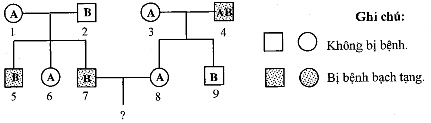 Sơ đồ phả hệ hình bên mô tả sự di truyền 2 tính trạng ở người (ảnh 1)