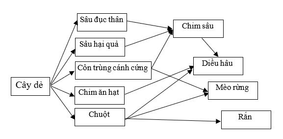 Trong một giờ học thực hành, khi quan sát về một lưới thức ăn, một học sinh đã mô tả như sau (ảnh 1)