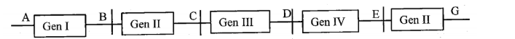 Giả sử trên một đoạn của phân tử ADN vi khuẩn, xét 5 gen (ảnh 1)