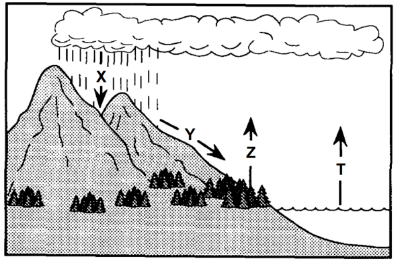 Sơ đồ dưới đây mô tả chu trình nước trong tự nhiên, các kí hiệu (ảnh 1)