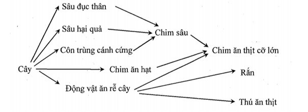 Trong giờ thực hành, một bạn học sinh đã mô tả ngắn gọn quan hệ sinh thái (ảnh 1)