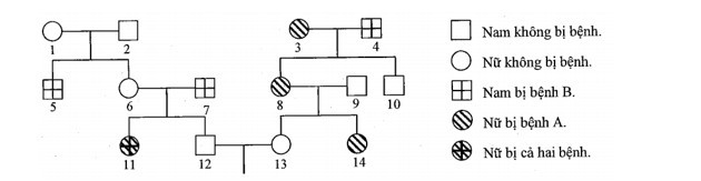 : Phả hệ ở hình dưới đây mô tả sự di truyền 2 bệnh ở người, mỗi bệnh đều do một gen có 2 alen quy định (ảnh 1)