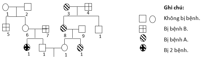 Phả hệ ở hình dưới đây mô tả sự di truyền 2 bệnh (ảnh 1)