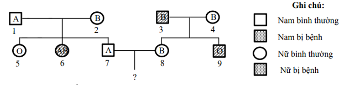 Sự di truyền bệnh P ở người do 1 trong 2 alen quy định và được thể hiện qua sơ đồ phả hệ dưới đây (ảnh 1)