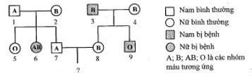 Sự di truyền bệnh P ở người do 1 trong 2 alen quy định và được thể hiện qua sơ đồ phả hệ  (ảnh 1)