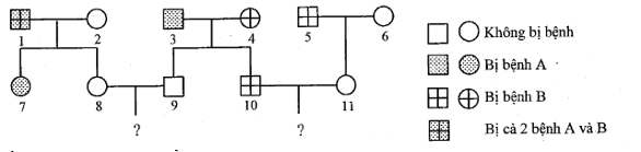 Sơ đồ phả hệ dưới đây mô tả sự di truyền  (ảnh 1)