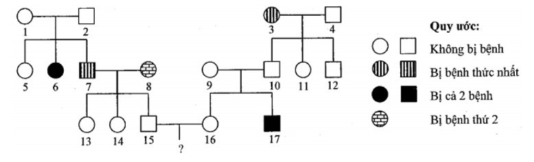 Phả hệ dưới đây mô tả hai bệnh di truyền phân li độc lập  (ảnh 1)
