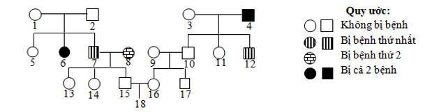 Phả hệ dưới đây mô tả hai bệnh di truyền phân li độc lập với nhau, mỗi bệnh (ảnh 1)
