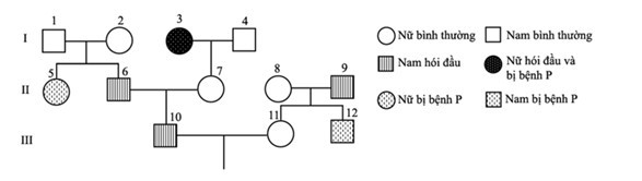 Biết rằng hai cặp gen qui định hai tính trạng nói trên không cùng nằm trong một nhóm gen liên kết (ảnh 1)