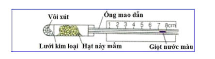 Hình bên mô tả thời điểm bắt đầu thí nghiệm phát hiện hô hấp ở thực vật (ảnh 1)