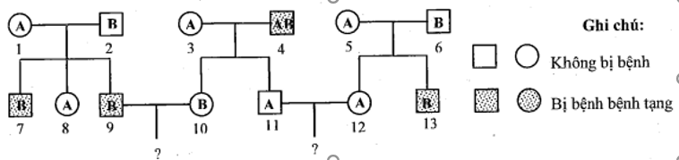 Sơ đồ phả hệ hình dưới đây mô tả sự di truyền 2 tính trạng ở người (ảnh 1)