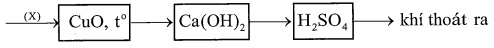Cho hỗn hợp X gồm CO2, CO, N2 và hơi nước (ảnh 1)
