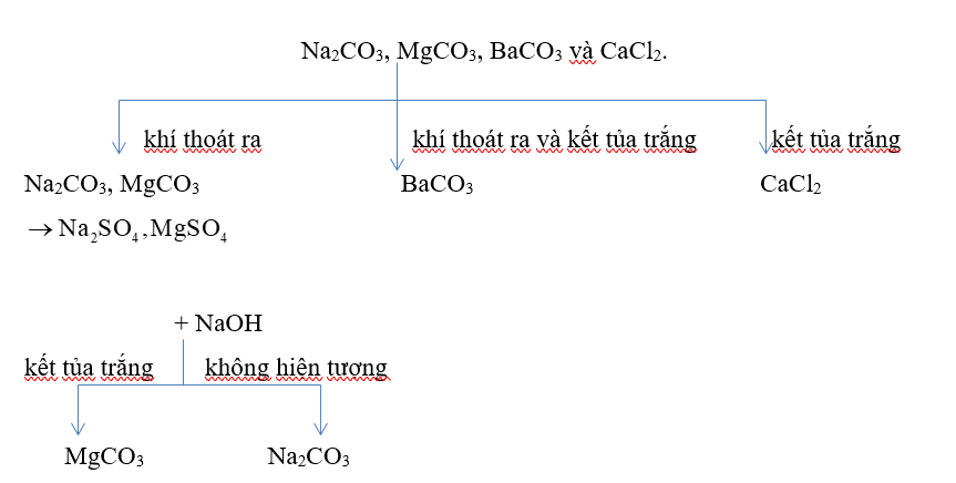 Bằng phương pháp hóa học, nhận biết 4 lọ hóa chất mất nhãn chứa 4 dung dịch muối sau: Na2CO3,  (ảnh 1)