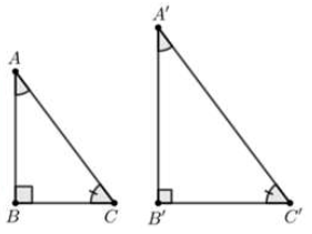 TOP 20 câu Trắc nghiệm Các trường hợp bằng nhau của tam giác vuông - Toán 7 Kết nối tri thức (ảnh 1)