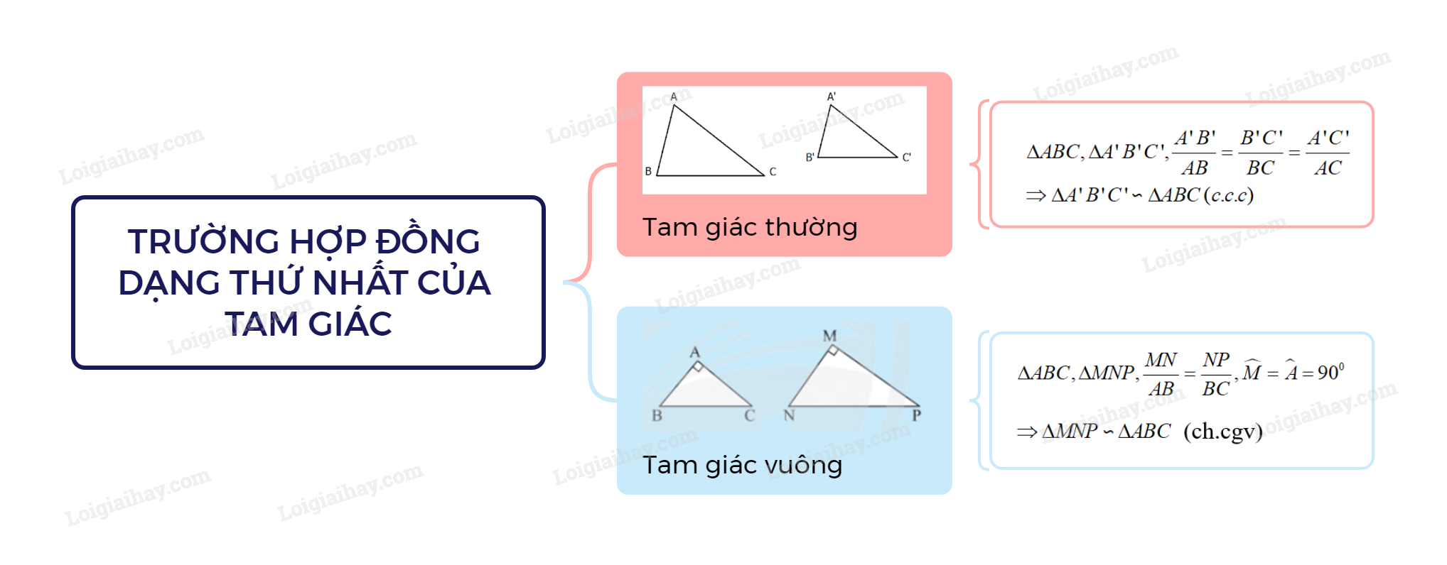Lý thuyết Trường hợp đồng dạng thứ nhất của tam giác – Toán lớp 8 Cánh diều (ảnh 1)
