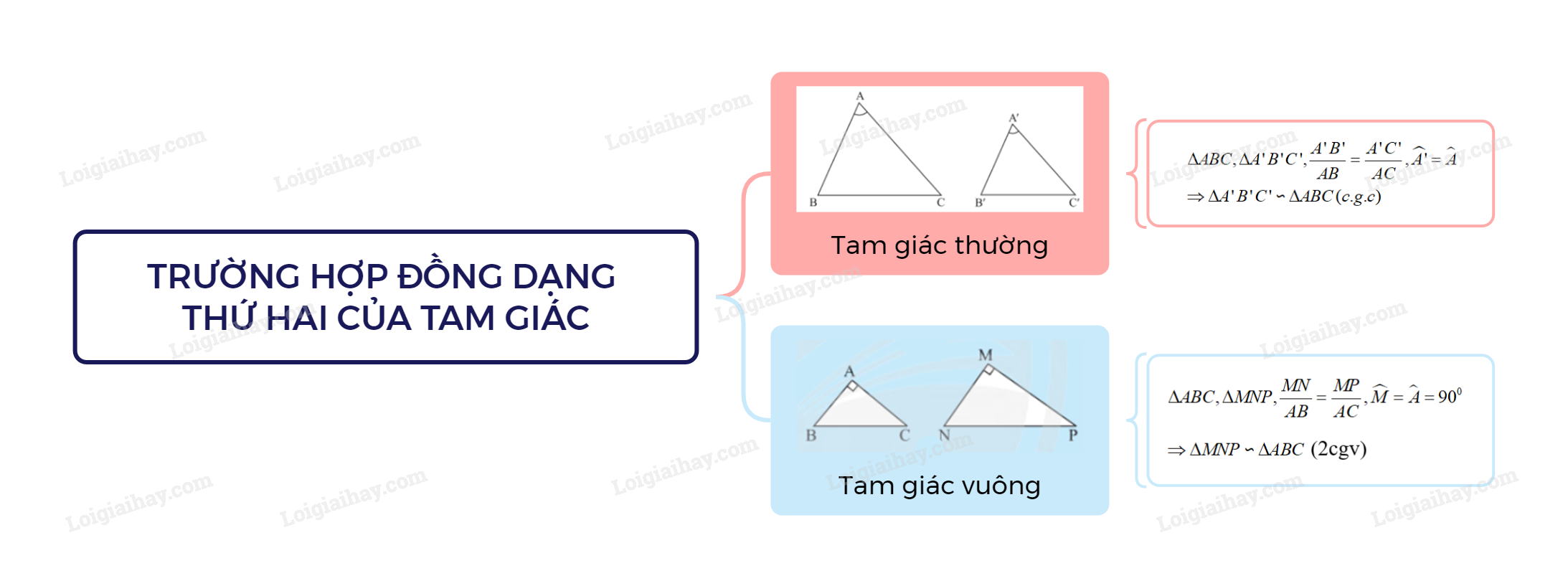 Lý thuyết Trường hợp đồng dạng thứ hai của tam giác – Toán lớp 8 Cánh diều (ảnh 1)