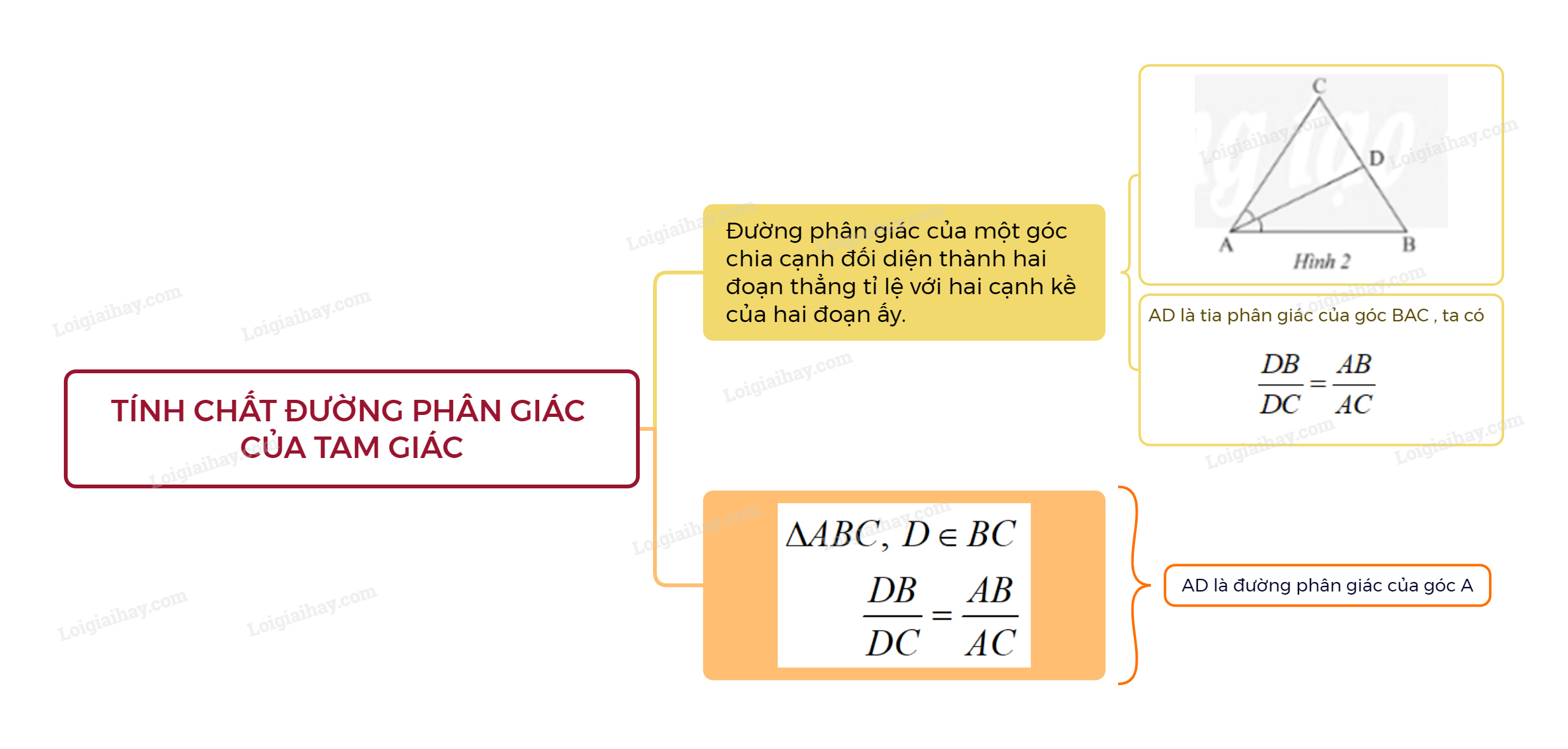 Lý thuyết Tính chất đường phân giác của tam giác – Toán lớp 8 Chân trời sáng tạo (ảnh 1)