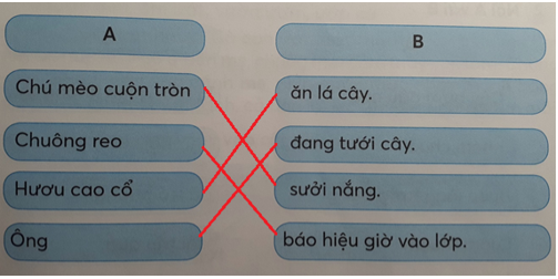 Giải Tiếng Việt lớp 1 (Dành cho buổi học thứ hai) Tập 1 Tiết 2: uôn uông ươi ươu – Kết nối tri thức (ảnh 1)