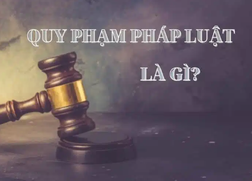 Quy phạm pháp luật là gì? Hệ thống văn bản quy phạm pháp luật Việt Nam (ảnh 1)