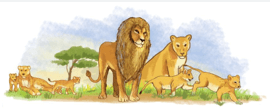 TOP 10 mẫu Thay lời chú sư tử trong khu bảo tồn động vật hoang dã Ngô-rông-gô-rô (2024) SIÊU HAY (ảnh 1)