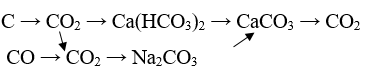 Thực hiện chuỗi phản ứng: C -> CO2 -> Ca(HCO3)2 -> CaCO3 -> CO2 (ảnh 1)