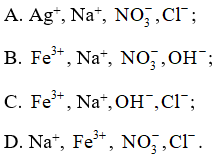Cho các ion Fe3+, Ag+, Na+, NO3-, OH-, Cl-. Các ion nào sau đây tồn tại đồng thời trong dung dịch (ảnh 1)