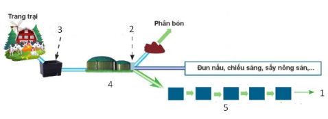 Đề cương ôn tập Công nghệ 11 Học kì 2 (Cánh diều 2024) - Công nghệ chăn nuôi (ảnh 1)