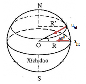 Sách bài tập Vật lí 10 Chủ đề 5: Chuyển động tròn và biến dạng - Cánh diều (ảnh 1)