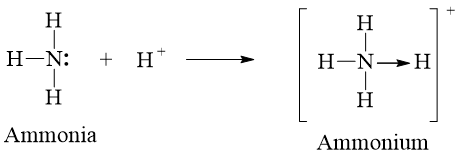 Trình bày liên kết cho – nhận trong ion NH4+ (ảnh 1)