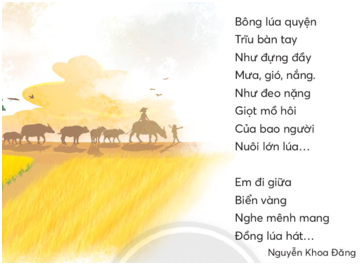 Giải Tiếng Việt lớp 2 Tập 2 Bài 3: Mùa lúa chín – Chân trời sáng tạo (ảnh 1)