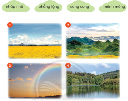 Giải Tiếng Việt lớp 2 Tập 2 Bài 1: Cây nhút nhát – Chân trời sáng tạo (ảnh 1)