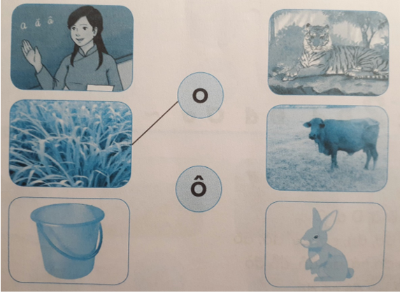 Giải Tiếng Việt lớp 1 (Dành cho buổi học thứ hai) Tập 1 Tiết 1: O o dấu hỏi Ô ô dấu chấm – Kết nối tri thức (ảnh 1)