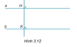 Sách bài tập Toán 7 Bài 9: Hai đường thẳng song song và dấu hiệu nhận biết - Kết nối tri thức (ảnh 1)