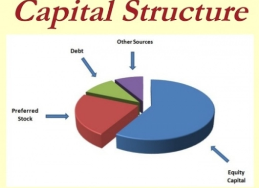 Cơ cấu vốn (Capital structure) là gì? Phân tích các chỉ tiêu cơ cấu nguồn vốn (ảnh 1)
