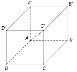 Cho hình lập phương ABCD.A'B'C'D'. Có bao nhiêu cạnh của hình lập phương  (ảnh 1)